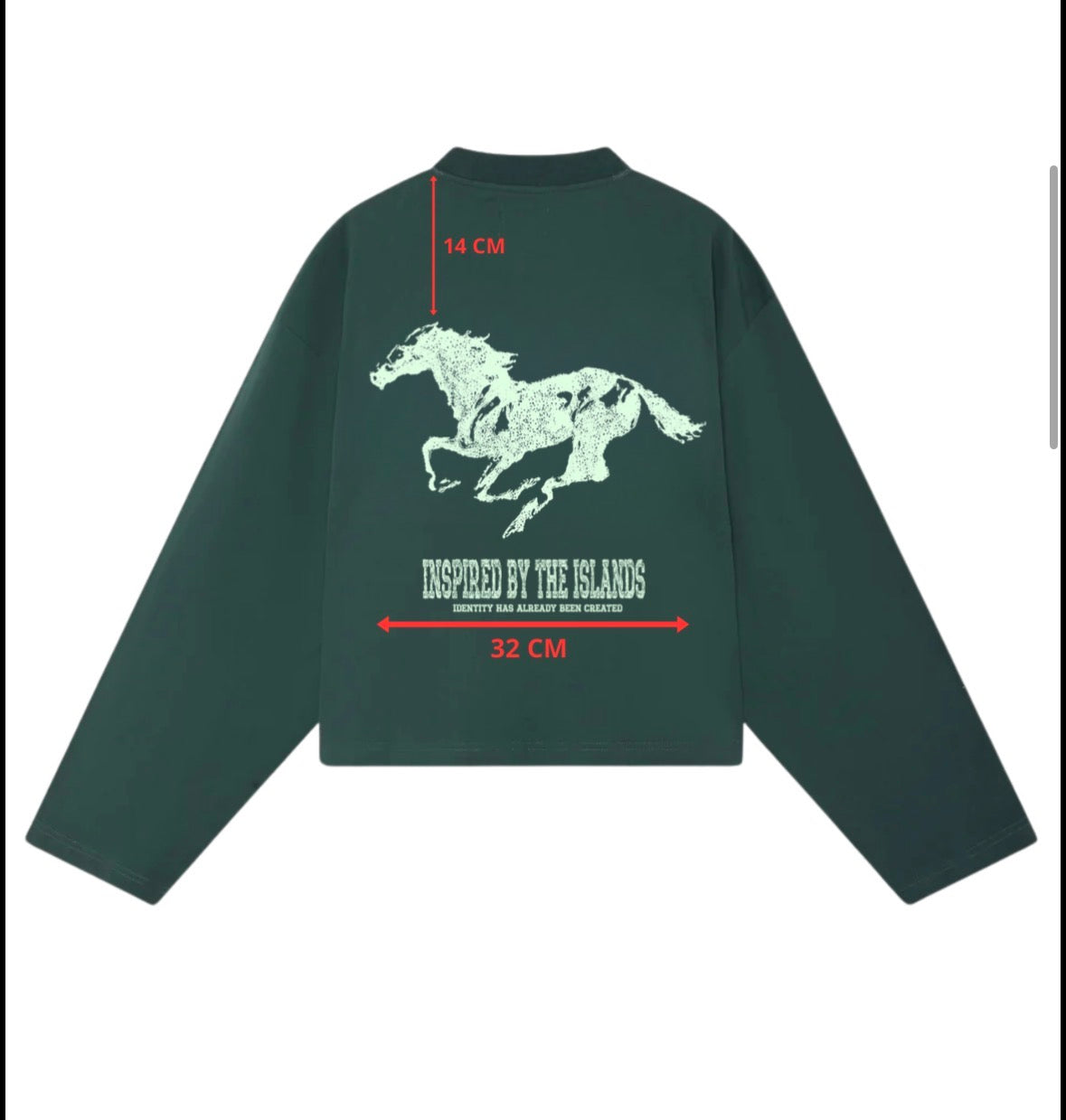 LONGSLEEVE OLIVE